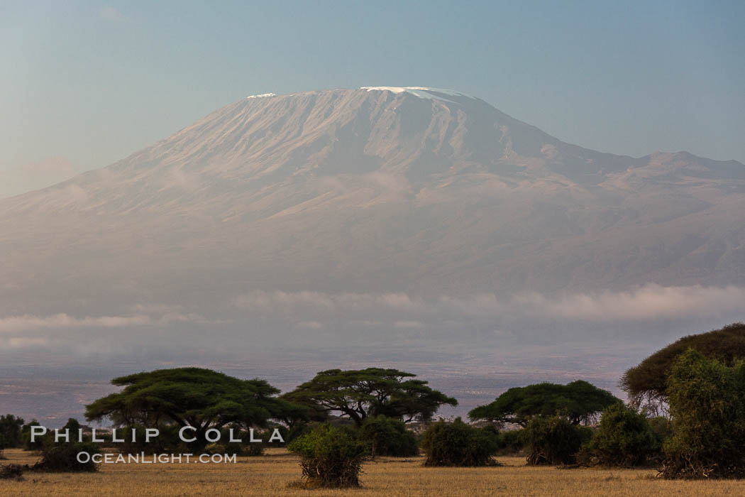 Mount Kilimanjaro, Tanzania, viewed from Amboseli NP, Kenya. Amboseli National Park, natural history stock photograph, photo id 29601