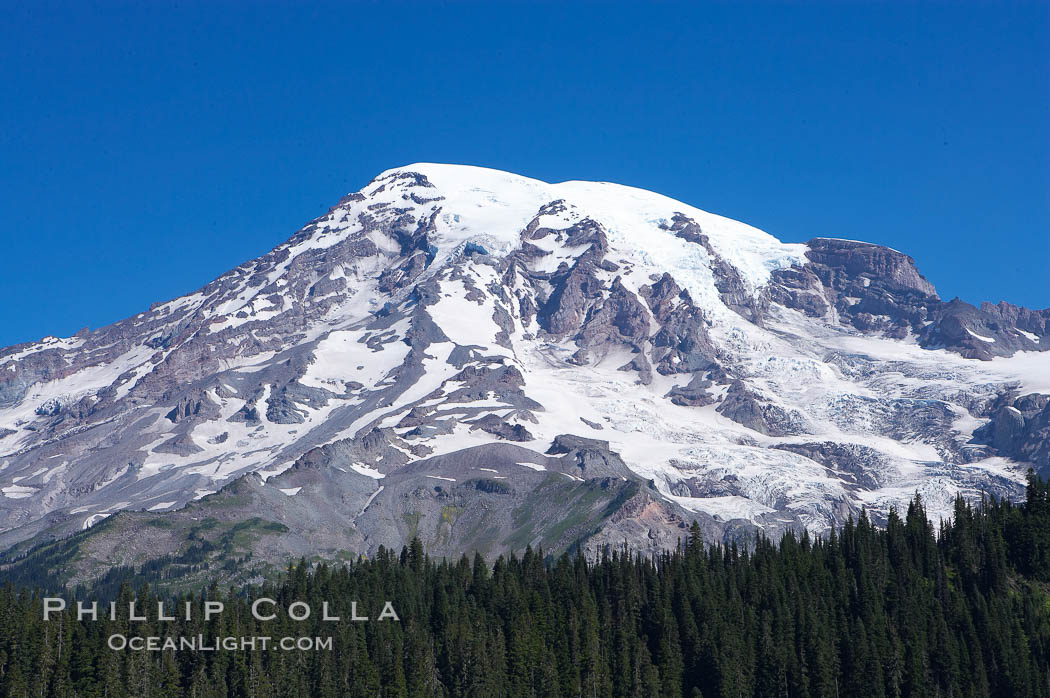 Mount Rainier, southern exposure viewed from Ricksecker Point. Mount Rainier National Park, Washington, USA, natural history stock photograph, photo id 13846