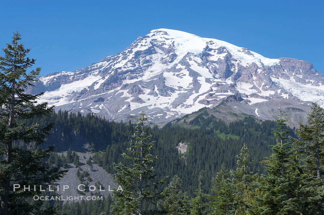 Mount Rainier, southern exposure viewed from Ricksecker Point. Mount Rainier National Park, Washington, USA, natural history stock photograph, photo id 13850