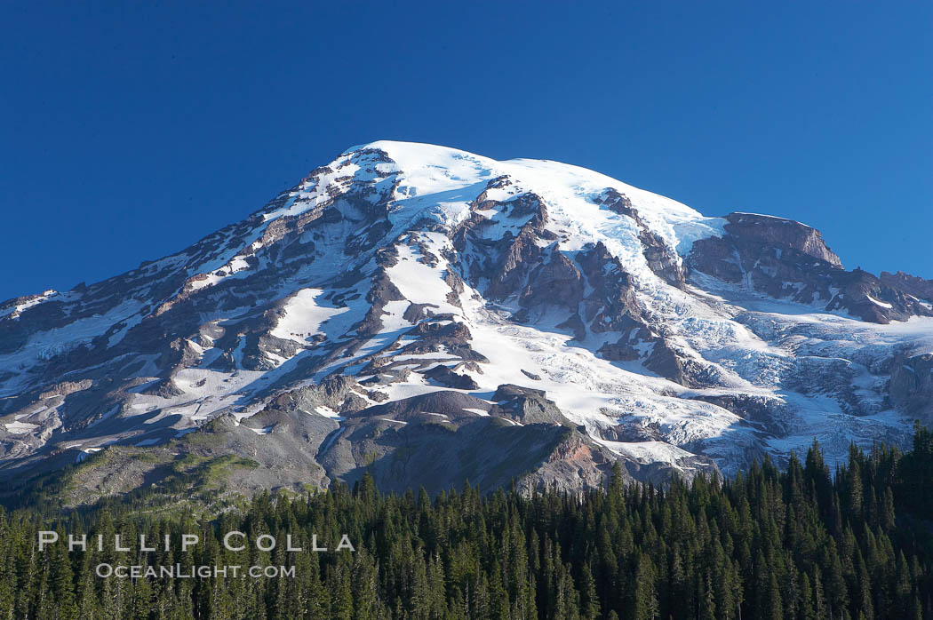 Mount Rainier, southern exposure viewed from Ricksecker Point. Mount Rainier National Park, Washington, USA, natural history stock photograph, photo id 13844