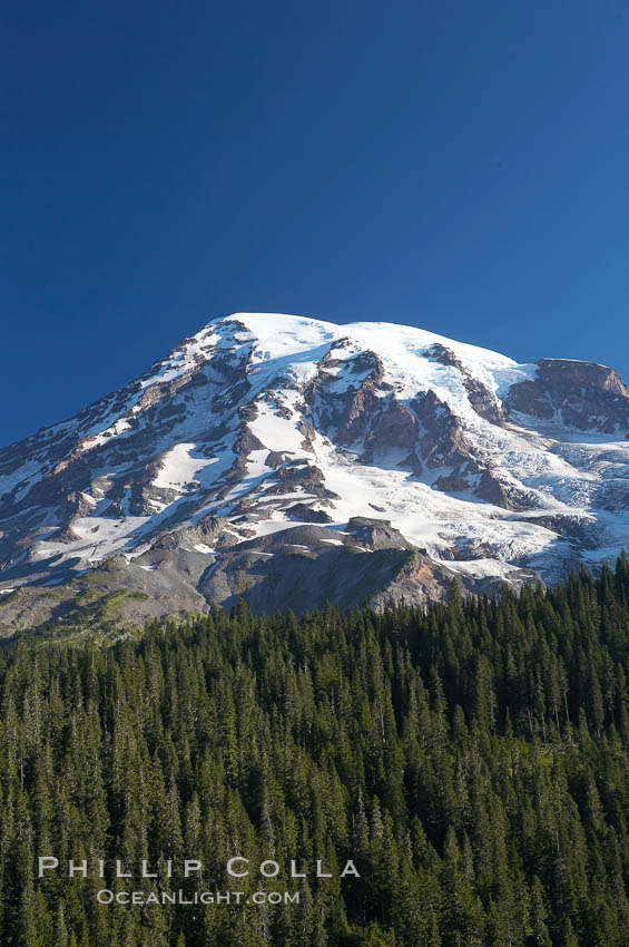 Mount Rainier, southern exposure viewed from Ricksecker Point. Mount Rainier National Park, Washington, USA, natural history stock photograph, photo id 13848