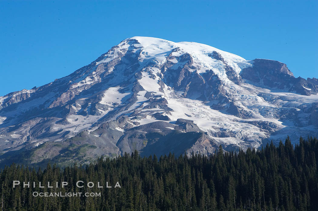 Mount Rainier, southern exposure viewed from Ricksecker Point. Mount Rainier National Park, Washington, USA, natural history stock photograph, photo id 13845