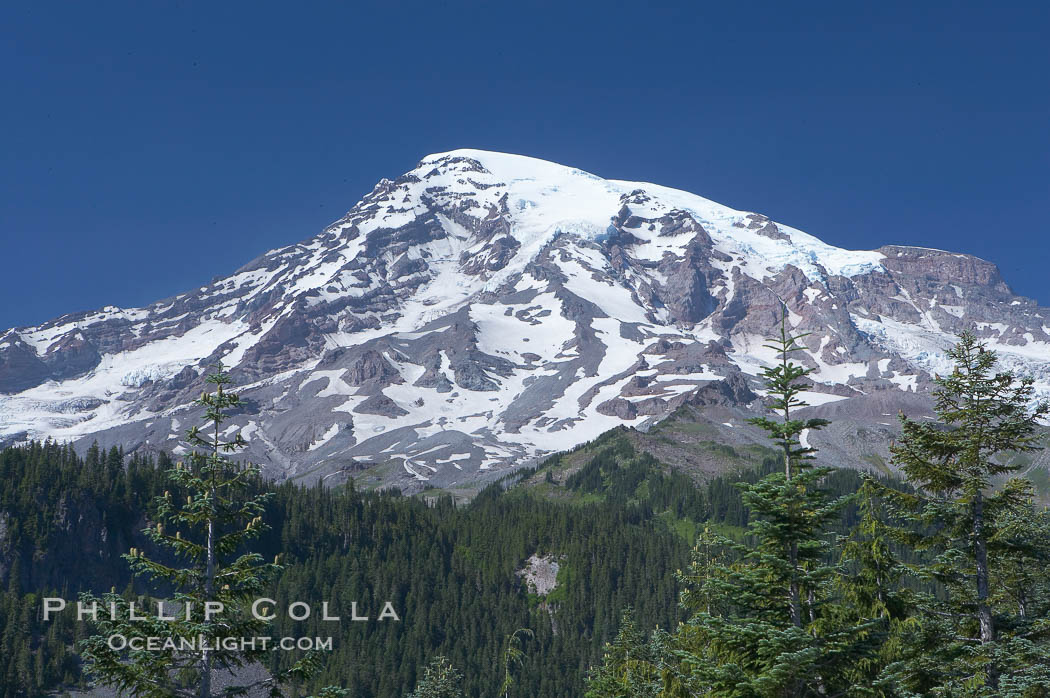 Mount Rainier, southern exposure viewed from Ricksecker Point. Mount Rainier National Park, Washington, USA, natural history stock photograph, photo id 13849