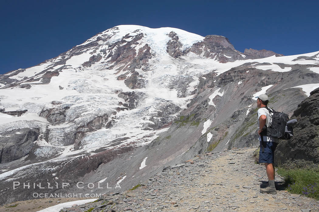 A hiker views the Nisqually Glacier and Mount Rainier from the Skyline Trail. Mount Rainier National Park, Washington, USA, natural history stock photograph, photo id 13890