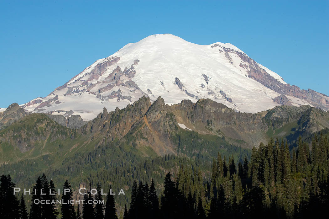 Mount Rainier rises above Governors Ridge, Emmons Glacier. Mount Rainier National Park, Washington, USA, natural history stock photograph, photo id 13872