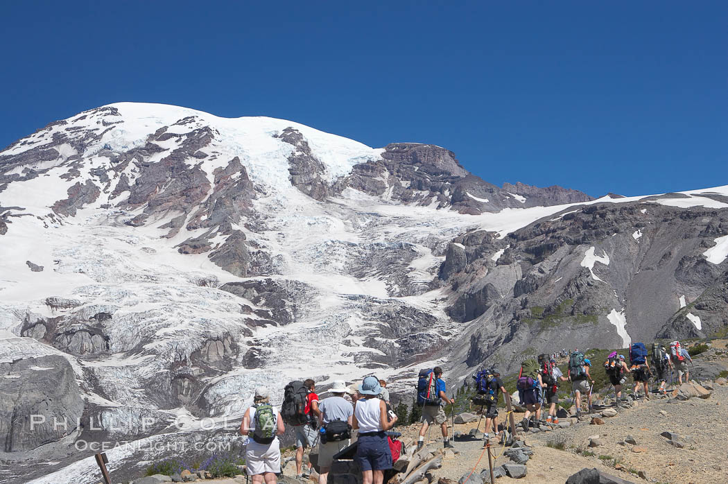 Hikers ascend the Skyline Trail below Nisqually Glacier and Mount Rainier. Mount Rainier National Park, Washington, USA, natural history stock photograph, photo id 13889