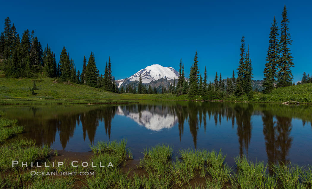 Mount Rainier reflected in Tipsoo Lake. Tipsoo Lakes, Mount Rainier National Park, Washington, USA, natural history stock photograph, photo id 28736