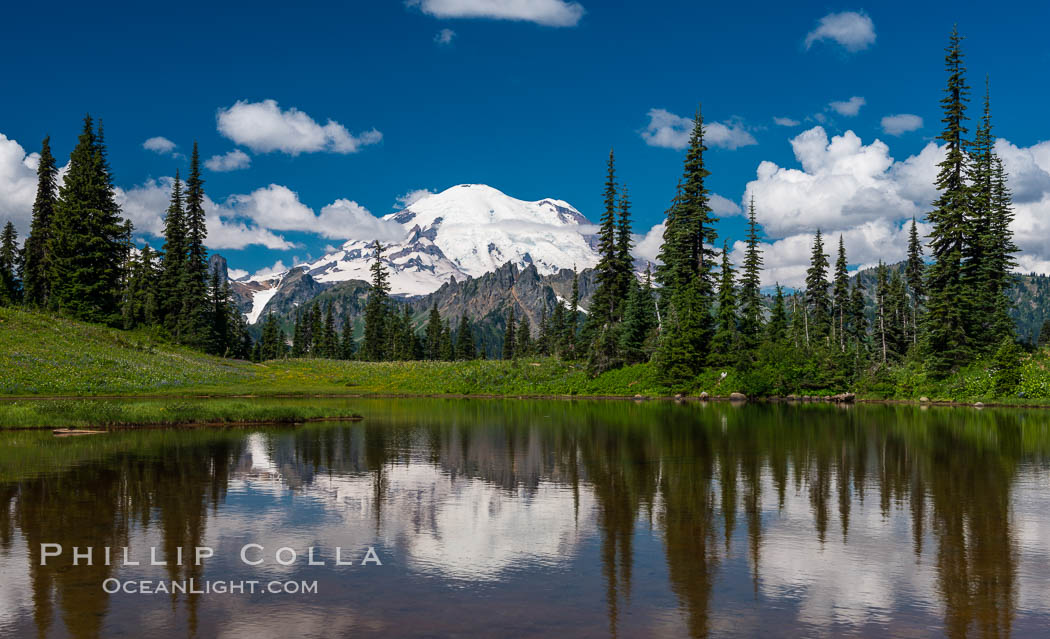 Mount Rainier reflected in Tipsoo Lake. Tipsoo Lakes, Mount Rainier National Park, Washington, USA, natural history stock photograph, photo id 28740