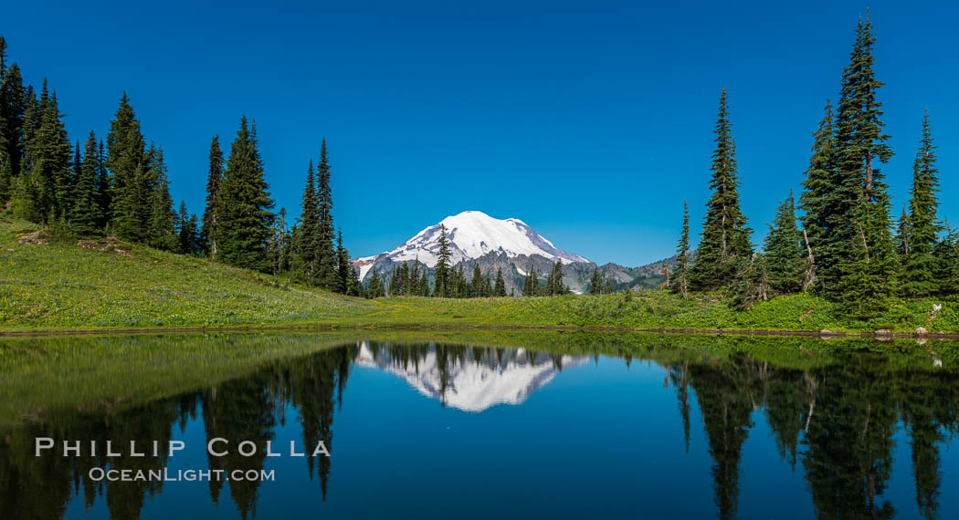 Mount Rainier reflected in Tipsoo Lake. Tipsoo Lakes, Mount Rainier National Park, Washington, USA, natural history stock photograph, photo id 28735