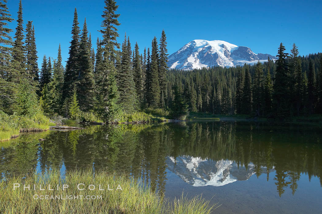 Mount Rainier is reflected in the calm waters of Reflection Lake, early morning. Mount Rainier National Park, Washington, USA, natural history stock photograph, photo id 13854