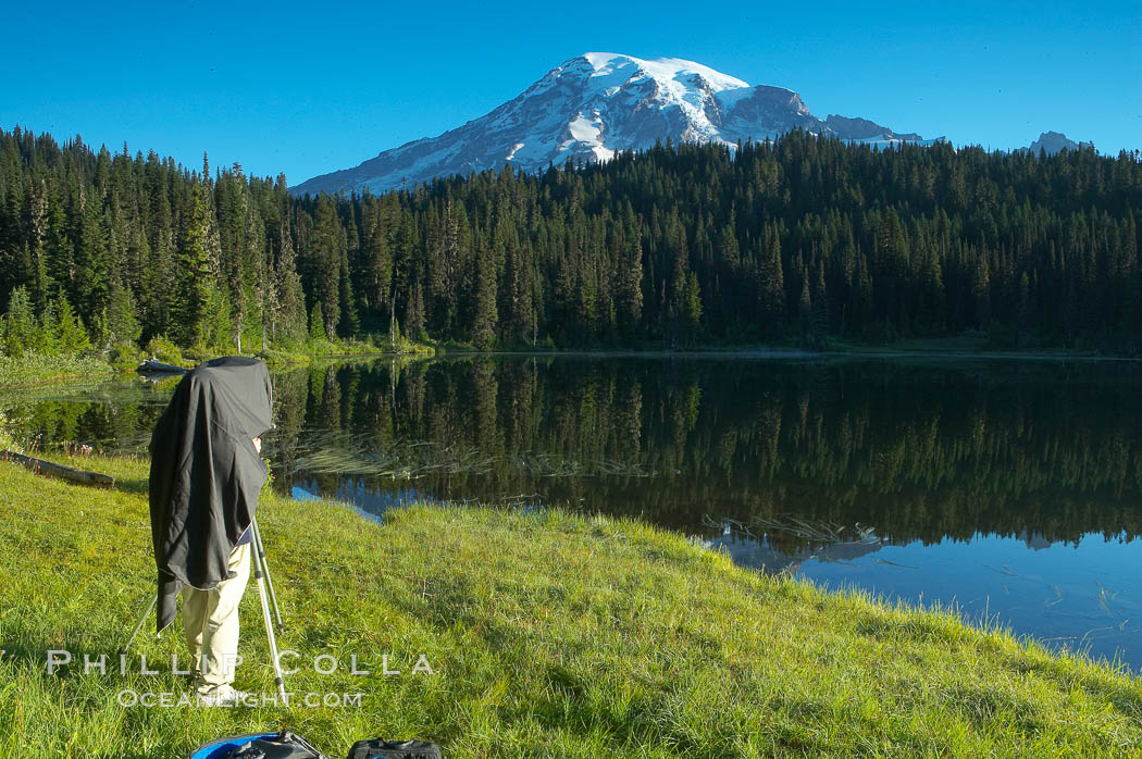 A photographer composes his image with a large view camera, Reflection Lake and Mount Rainier. Mount Rainier National Park, Washington, USA, natural history stock photograph, photo id 13864