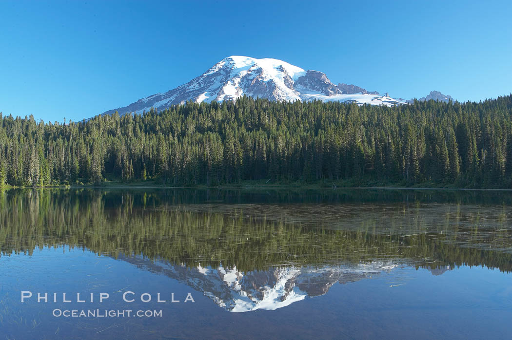 Mount Rainier is reflected in the calm waters of Reflection Lake, early morning. Mount Rainier National Park, Washington, USA, natural history stock photograph, photo id 13952