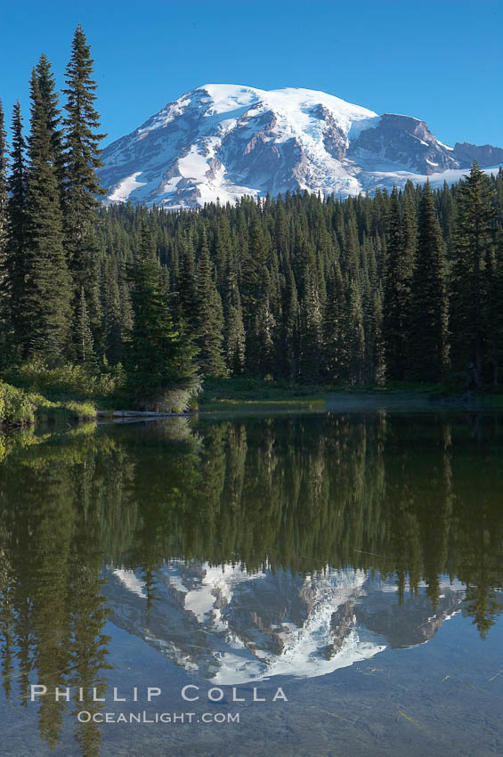 Mount Rainier rises above Reflection Lake, afternoon. Mount Rainier National Park, Washington, USA, natural history stock photograph, photo id 13851