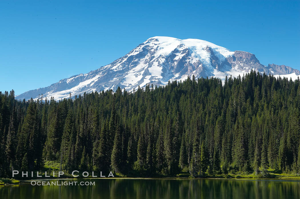 Mount Rainier is reflected in the calm waters of Reflection Lake, early morning. Mount Rainier National Park, Washington, USA, natural history stock photograph, photo id 13855