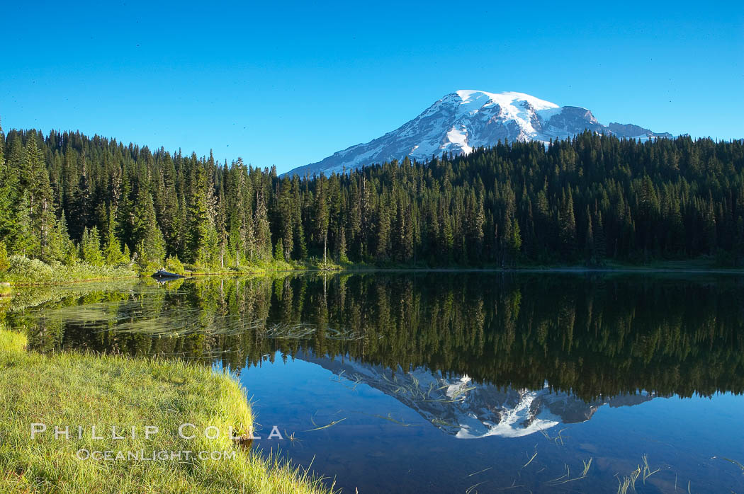 Mount Rainier is reflected in the calm waters of Reflection Lake, early morning. Mount Rainier National Park, Washington, USA, natural history stock photograph, photo id 13853