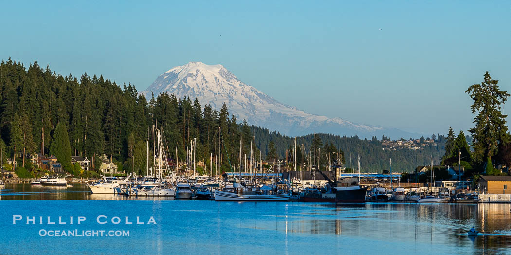 Mount Rainier rises over the boats in quaint Gig Harbor, Washington., natural history stock photograph, photo id 41824