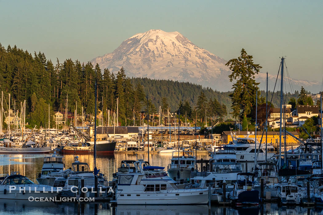 Mount Rainier rises over the boats in quaint Gig Harbor, Washington., natural history stock photograph, photo id 41823