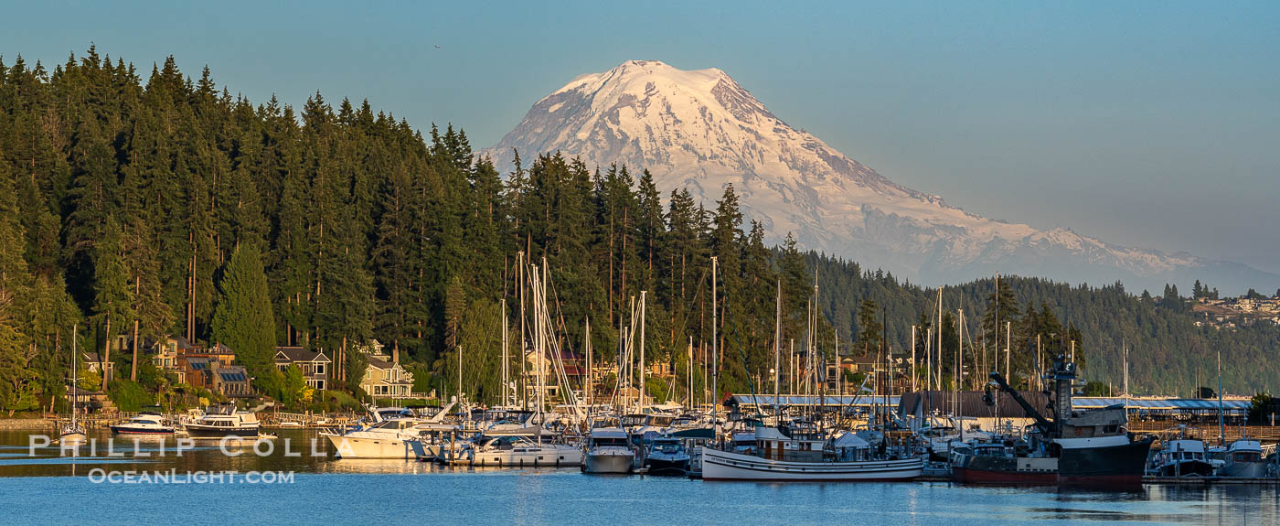 Mount Rainier rises over the boats in quaint Gig Harbor, Washington., natural history stock photograph, photo id 41825