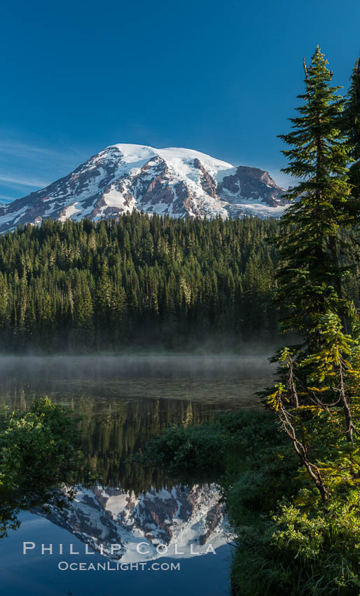 Mount Rainier is reflected in the calm waters of Reflection Lake, early morning. Mount Rainier National Park, Washington, USA, natural history stock photograph, photo id 28704