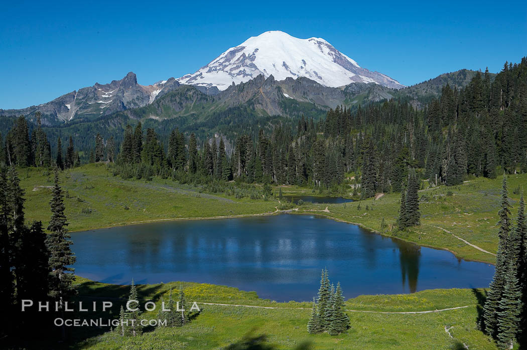 Mount Rainier rises above Lower Tipsoo Lake. Tipsoo Lakes, Mount Rainier National Park, Washington, USA, natural history stock photograph, photo id 13830