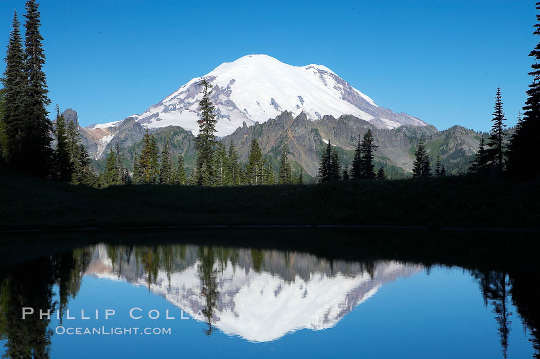 Mount Rainier is reflected in Upper Tipsoo Lake. Tipsoo Lakes, Mount Rainier National Park, Washington, USA, natural history stock photograph, photo id 13834