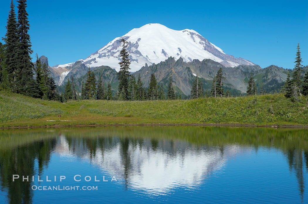 Mount Rainier is reflected in Upper Tipsoo Lake. Tipsoo Lakes, Mount Rainier National Park, Washington, USA, natural history stock photograph, photo id 13828