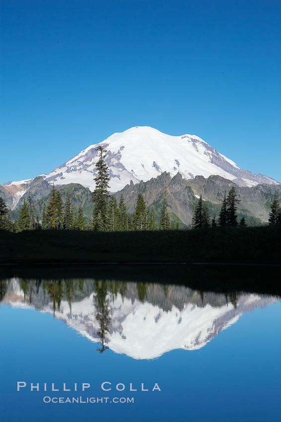 Mount Rainier is reflected in Upper Tipsoo Lake. Tipsoo Lakes, Mount Rainier National Park, Washington, USA, natural history stock photograph, photo id 13832