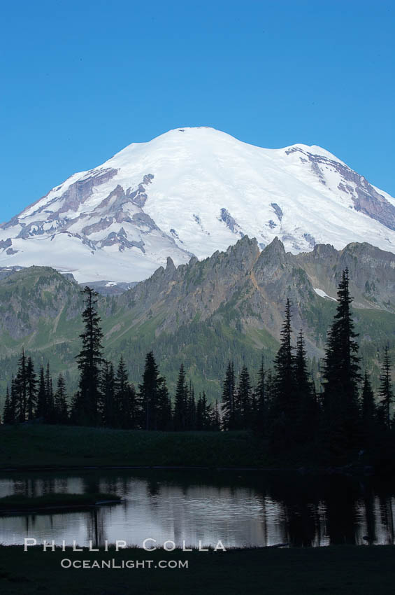 Mount Rainier, Tipsoo Lake, early morning. Tipsoo Lakes, Mount Rainier National Park, Washington, USA, natural history stock photograph, photo id 13831