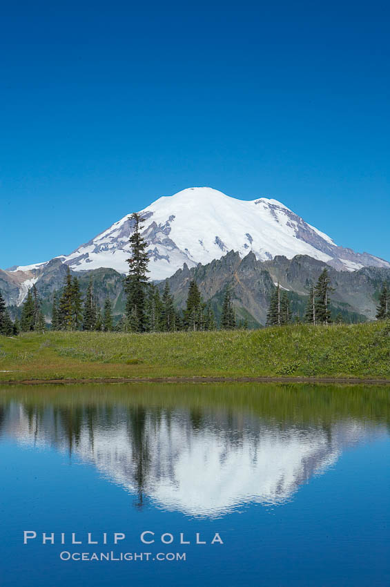 Mount Rainier is reflected in Upper Tipsoo Lake. Tipsoo Lakes, Mount Rainier National Park, Washington, USA, natural history stock photograph, photo id 13835