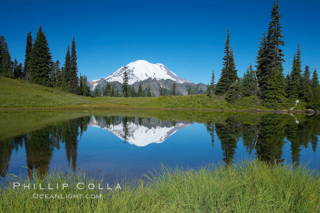 Mount Rainier is reflected in Upper Tipsoo Lake. Tipsoo Lakes, Mount Rainier National Park, Washington, USA, natural history stock photograph, photo id 13829