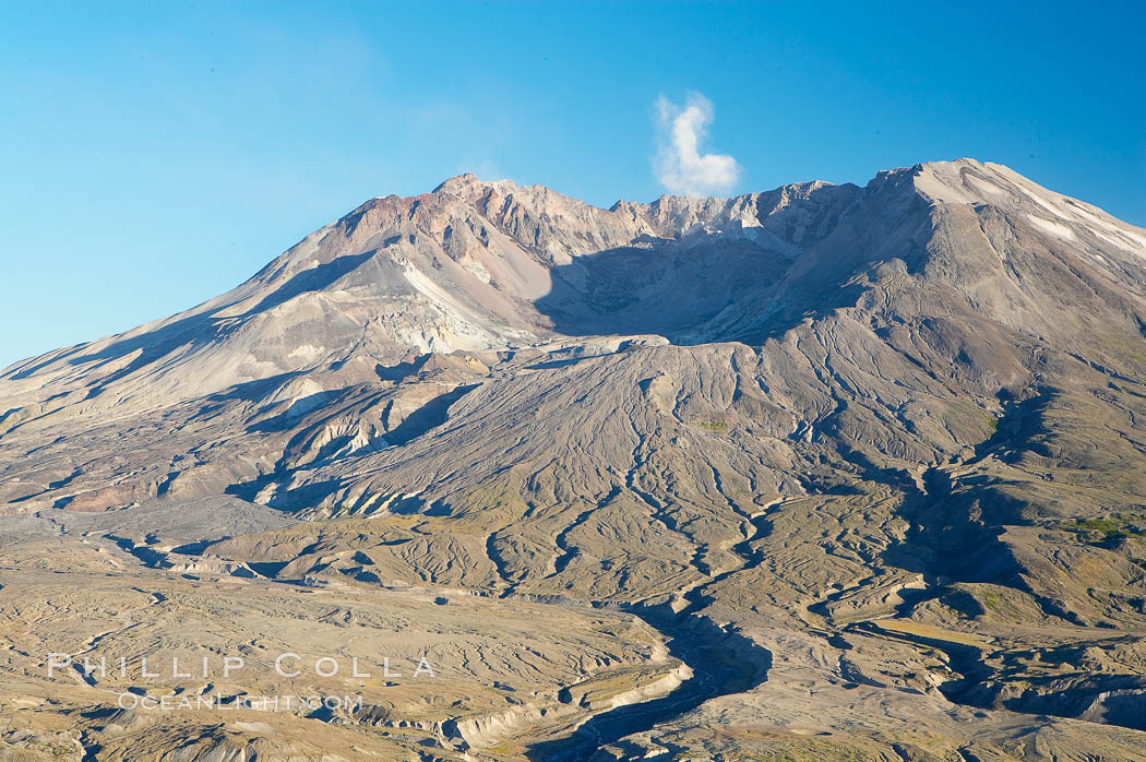 Mount St. Helens viewed from Johnston Observatory five miles away, showing western flank that was devastated during the 1980 eruption. Mount St. Helens National Volcanic Monument, Washington, USA, natural history stock photograph, photo id 13929