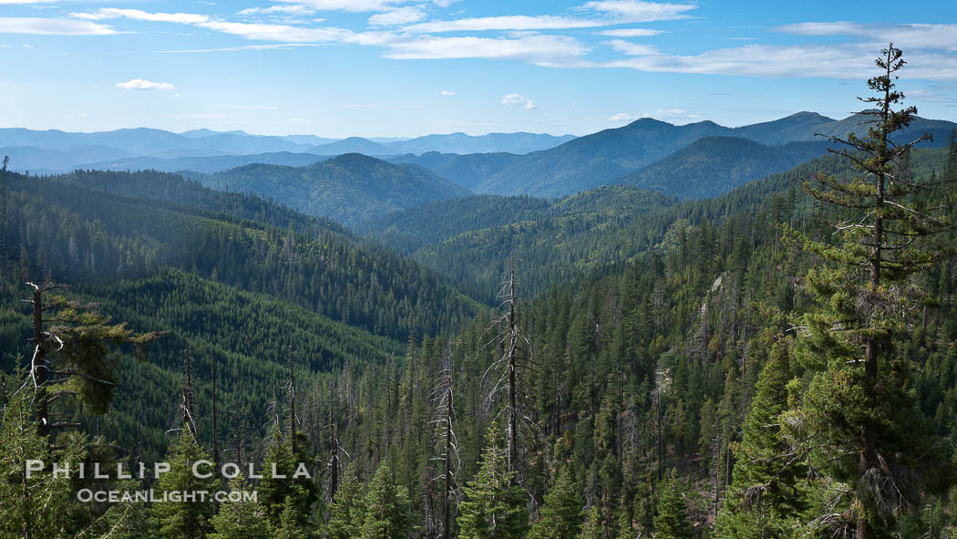Mountains and trees, view overlooking Oregon Caves National Monument., natural history stock photograph, photo id 25866