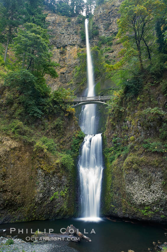 Multnomah Falls.  Plummeting 620 feet from its origins on Larch Mountain, Multnomah Falls is the second highest year-round waterfall in the United States.  Nearly two million visitors a year come to see this ancient waterfall making it Oregon’s number one public destination. Columbia River Gorge National Scenic Area, USA, natural history stock photograph, photo id 19315