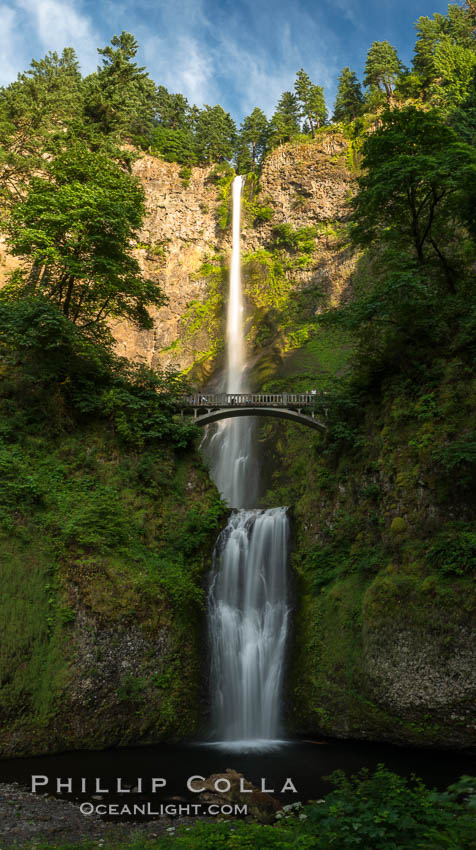 Multnomah Falls. Plummeting 620 feet from its origins on Larch Mountain, Multnomah Falls is the second highest year-round waterfall in the United States. Nearly two million visitors a year come to see this ancient waterfall making it Oregon's number one public destination. Columbia River Gorge National Scenic Area, USA, natural history stock photograph, photo id 28666