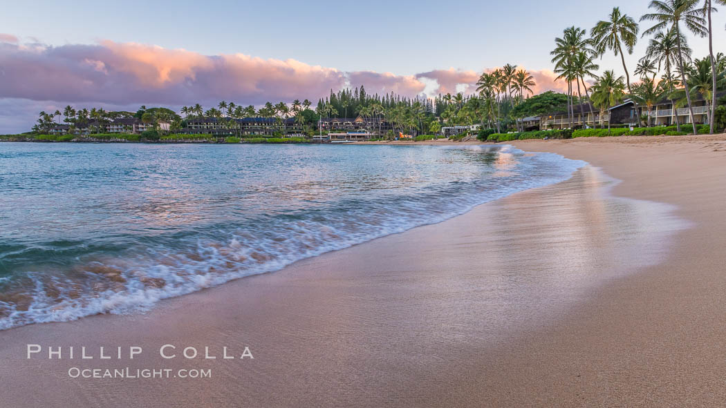 Napili Bay in West Maui, Hawaii. USA, natural history stock photograph, photo id 34529