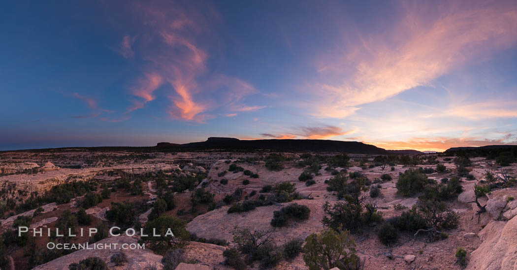 Panorama of Natural Bridges National Monument at sunset. Owachomo Bridge is visible at far left, while Natural Bridges National Monument lies under a beautiful sunset. Utah, USA, natural history stock photograph, photo id 28551