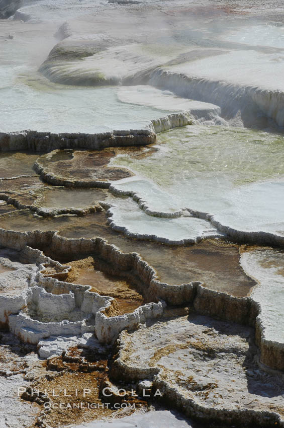 Steam rises from the travertine terraces of New Blue Spring, part of the Mammoth Hot Springs complex. Yellowstone National Park, Wyoming, USA, natural history stock photograph, photo id 07282