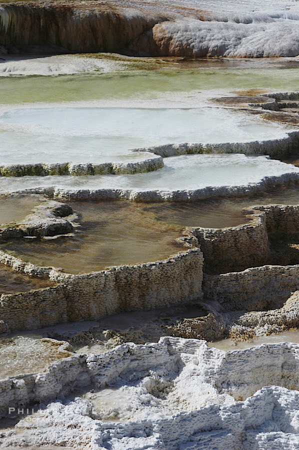 Steam rises from the travertine terraces of New Blue Spring, part of the Mammoth Hot Springs complex., natural history stock photograph, photo id 07280