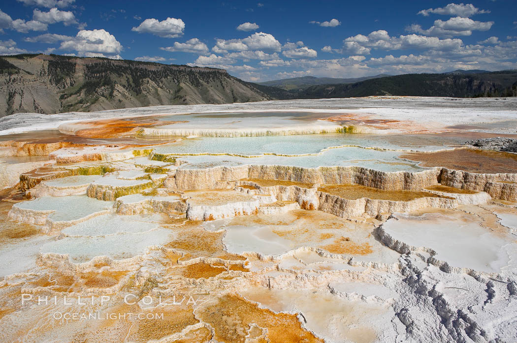 New Blue Spring and its travertine terraces, part of the Mammoth Hot Springs complex. Yellowstone National Park, Wyoming, USA, natural history stock photograph, photo id 13628