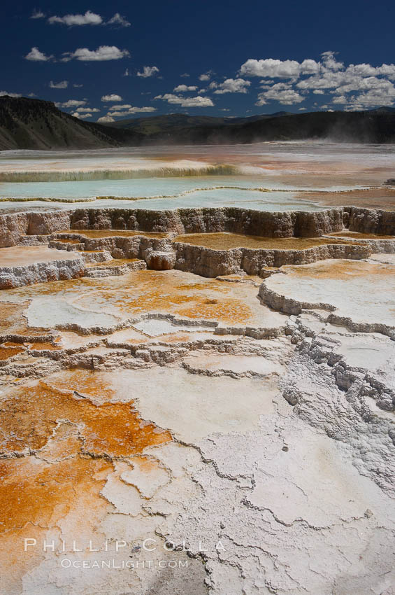 New Blue Spring and its travertine terraces, part of the Mammoth Hot Springs complex. Yellowstone National Park, Wyoming, USA, natural history stock photograph, photo id 13632