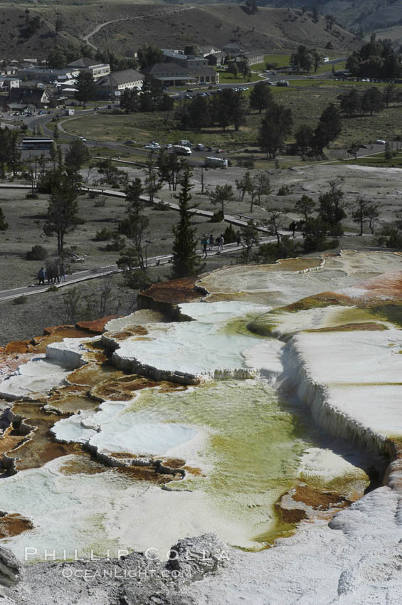 Steam rises from the travertine terraces of New Blue Spring, part of the Mammoth Hot Springs complex. Yellowstone National Park, Wyoming, USA, natural history stock photograph, photo id 07283