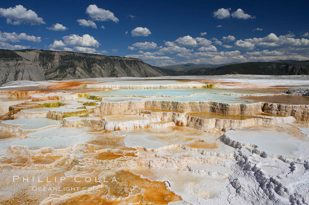 New Blue Spring and its travertine terraces, part of the Mammoth Hot Springs complex. Yellowstone National Park, Wyoming, USA, natural history stock photograph, photo id 13623