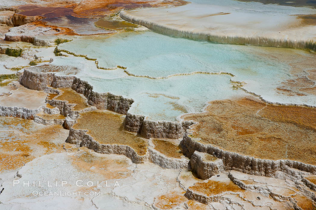 New Blue Spring and its travertine terraces, part of the Mammoth Hot Springs complex. Yellowstone National Park, Wyoming, USA, natural history stock photograph, photo id 13627