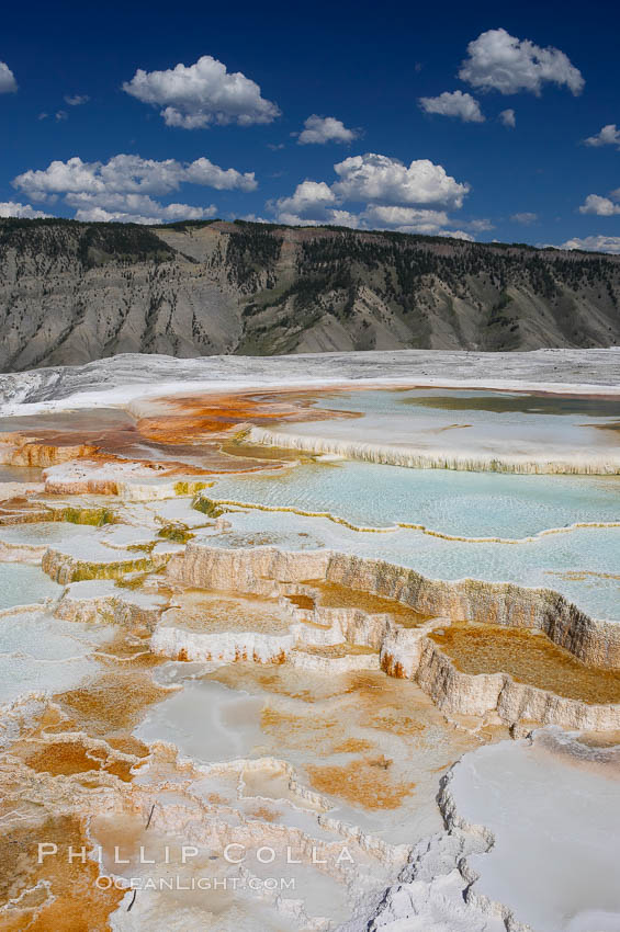 New Blue Spring and its travertine terraces, part of the Mammoth Hot Springs complex. Yellowstone National Park, Wyoming, USA, natural history stock photograph, photo id 13631