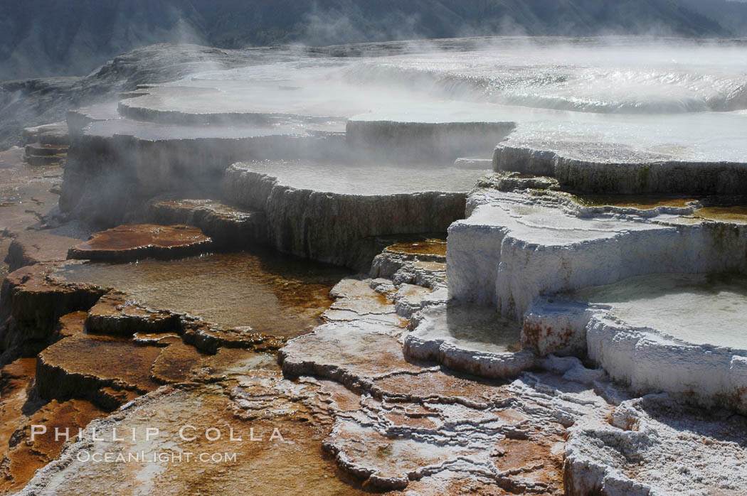 Steam rises from the travertine terraces of New Blue Spring, part of the Mammoth Hot Springs complex. Yellowstone National Park, Wyoming, USA, natural history stock photograph, photo id 07277