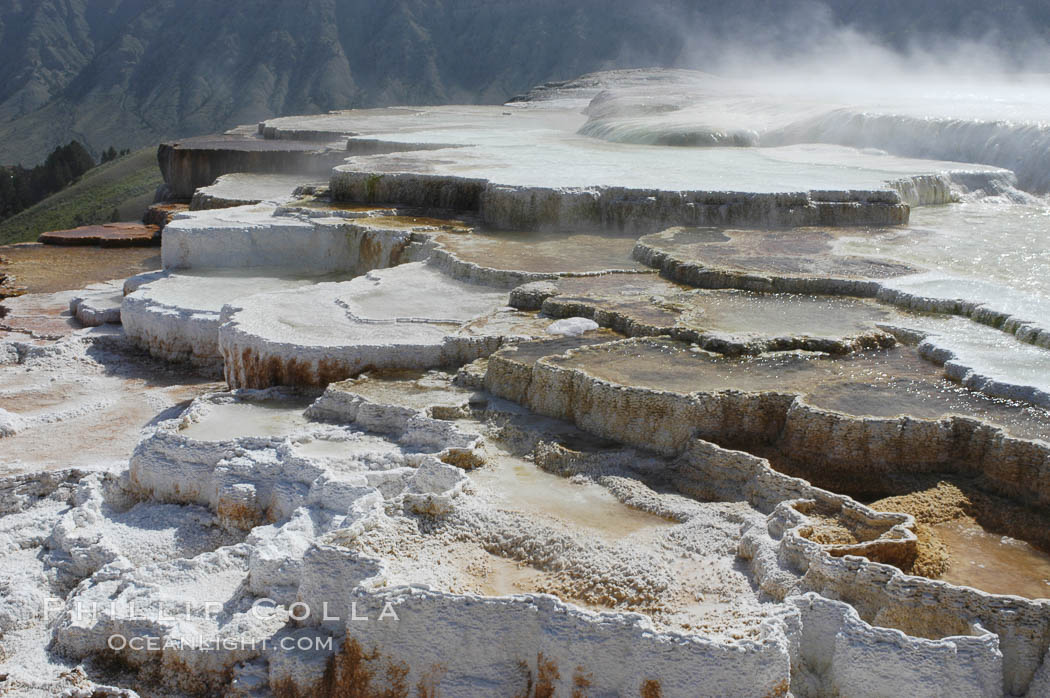 Steam rises from the travertine terraces of New Blue Spring, part of the Mammoth Hot Springs complex. Yellowstone National Park, Wyoming, USA, natural history stock photograph, photo id 07281