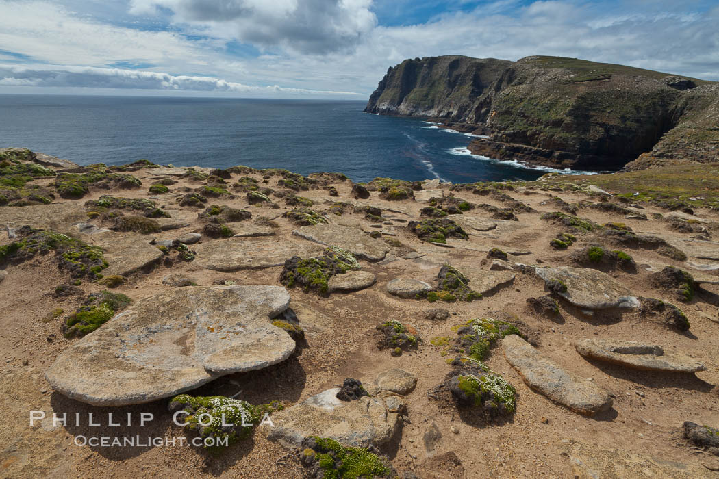 Interesting rock formations on plateau atop New Island, with sheer rugged seacliffs and the ocean beyond. Falkland Islands, United Kingdom, natural history stock photograph, photo id 23798