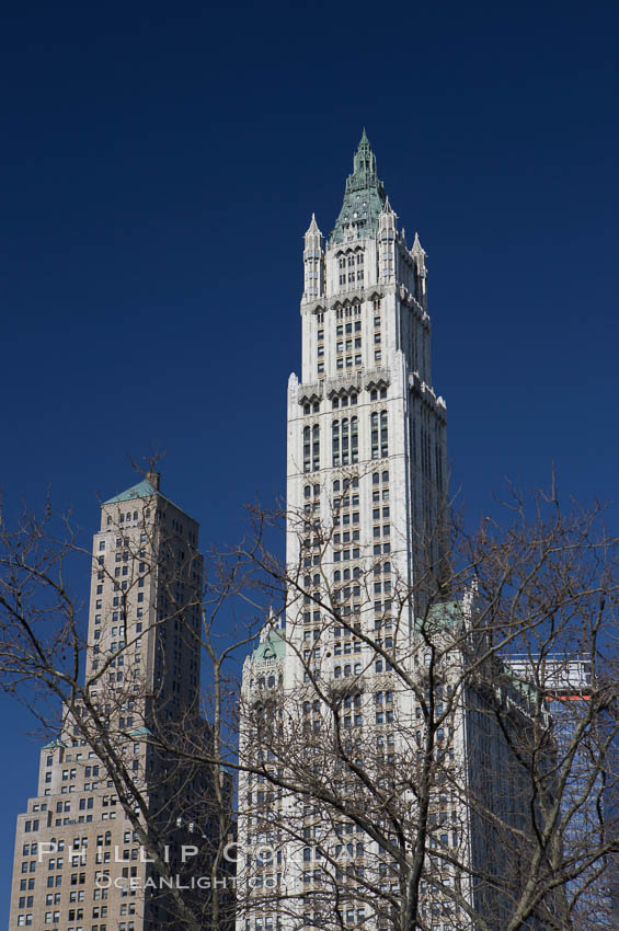 High rises tower over trees. Manhattan, New York City, USA, natural history stock photograph, photo id 11119