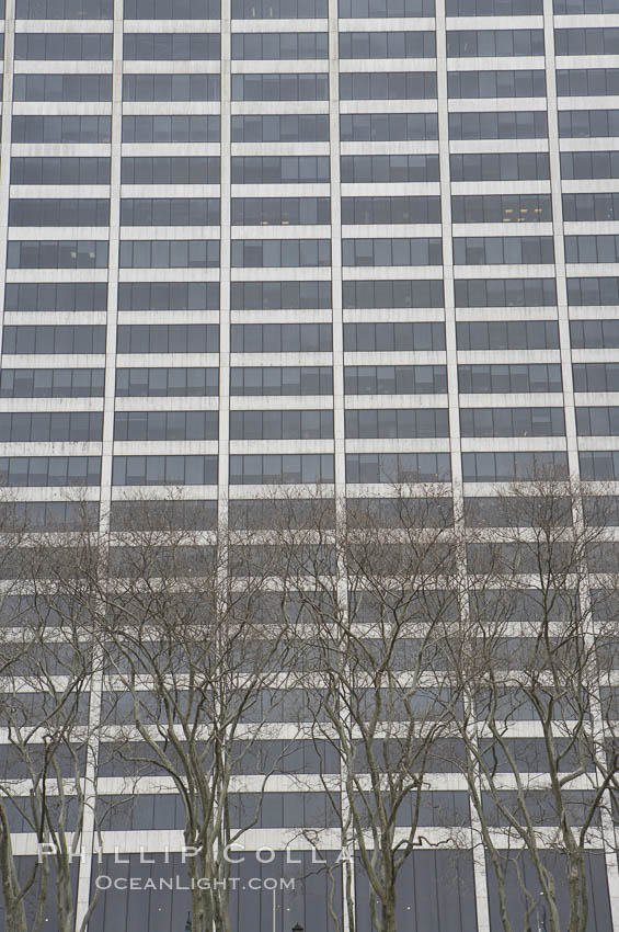 Trees and buildings, winter. Manhattan, New York City, USA, natural history stock photograph, photo id 11163