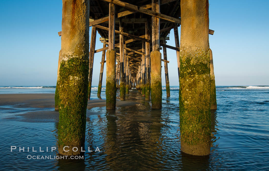Newport Pier, underneath the pier, pilings and ocean. Newport Beach, California, USA, natural history stock photograph, photo id 28472